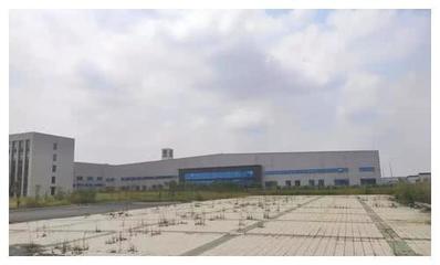 又一家國產(chǎn)車企面臨困境 工廠關(guān)停員工離職，控股公司陷入服務危機